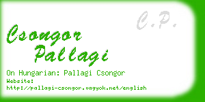 csongor pallagi business card